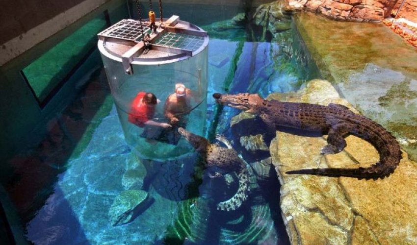 Ən təhlükəli attraksion - FOTOLAR