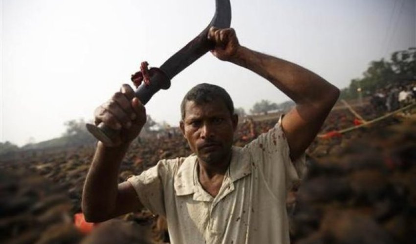 Dünyanın ən dəhşətli festivalından FOTOLAR