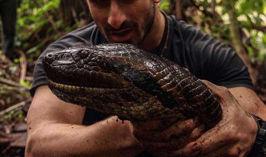 Daredevil naturalist reveals he was more scared for the animal\\\'s safety than his own