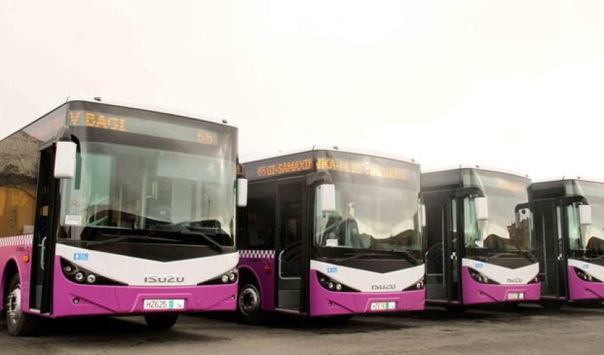 Paytaxta gətirilən yeni avtobuslar - FOTOLAR