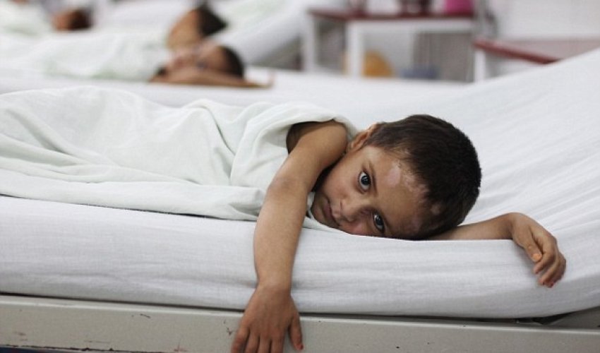 Shocking fate of motherless infants - PHOTO Shocking fate of motherless infants - PHOTO