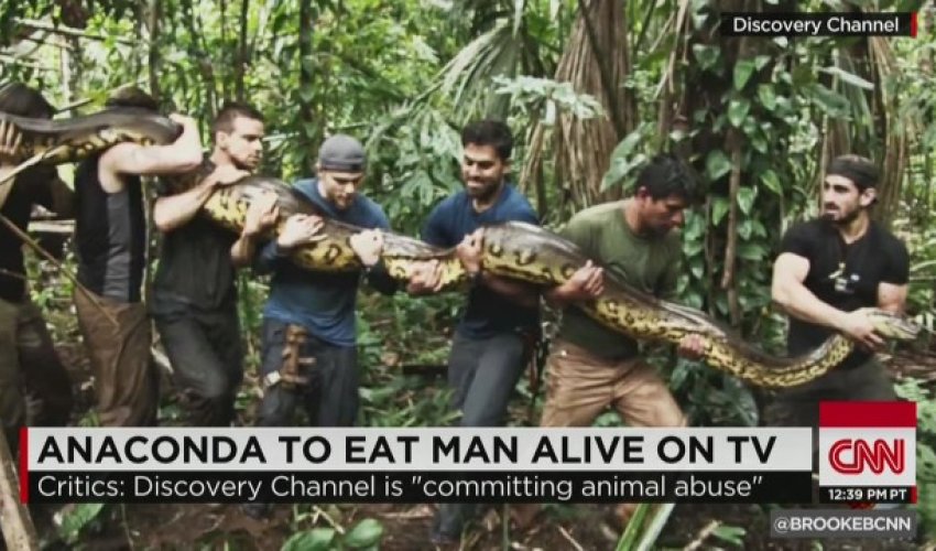 Anaconda eats man alive on Discovery Channel?