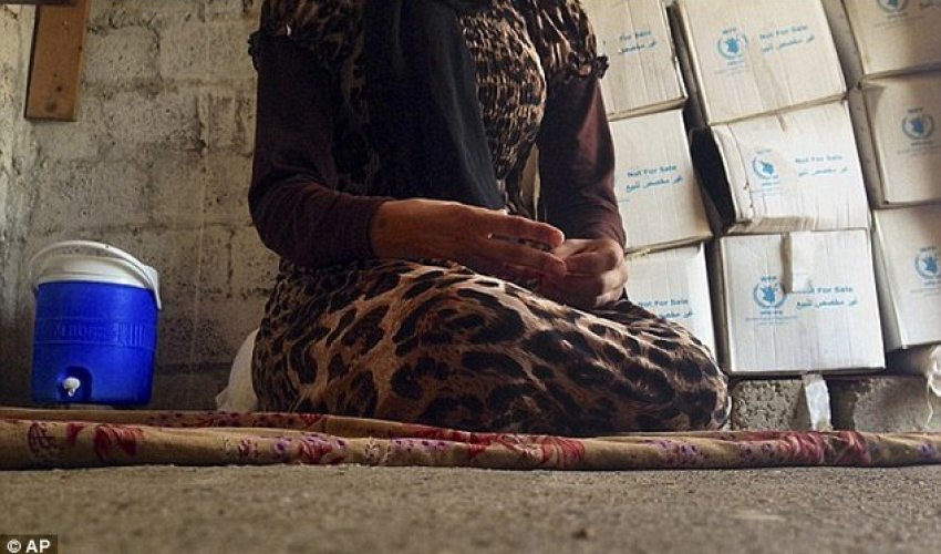 ISIS's 'Slavery for Dummies' ISIS's 'Slavery for Dummies'