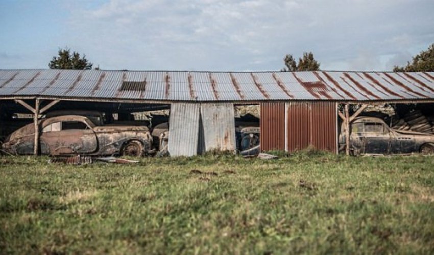 Qarajda unudulan 18 milyonluq sərvət - Fotolar