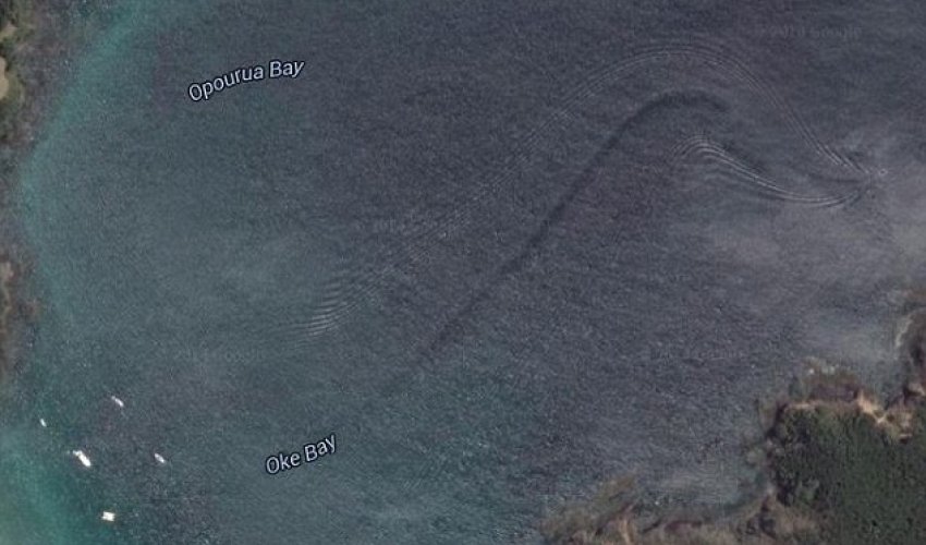 Too big to be a shark and too fast for a whale Too big to be a shark and too fast for a whale