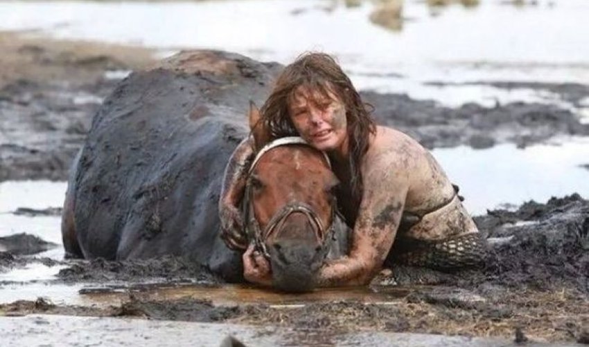 2014-cü ilin ən gözəl - Fotoşəkilləri