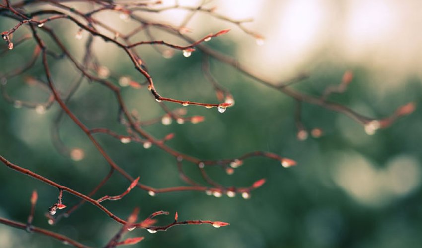 Baku weather forecast for Dec. 18