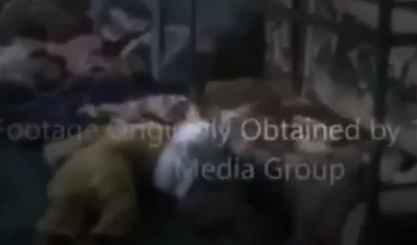 Məktəblilərin qətliam videosu yayımlandı - VİDEO Məktəblilərin qətliam videosu yayımlandı - VİDEO