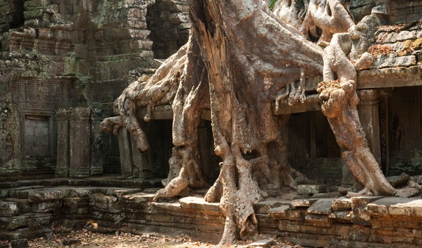 See the world in 26 days!