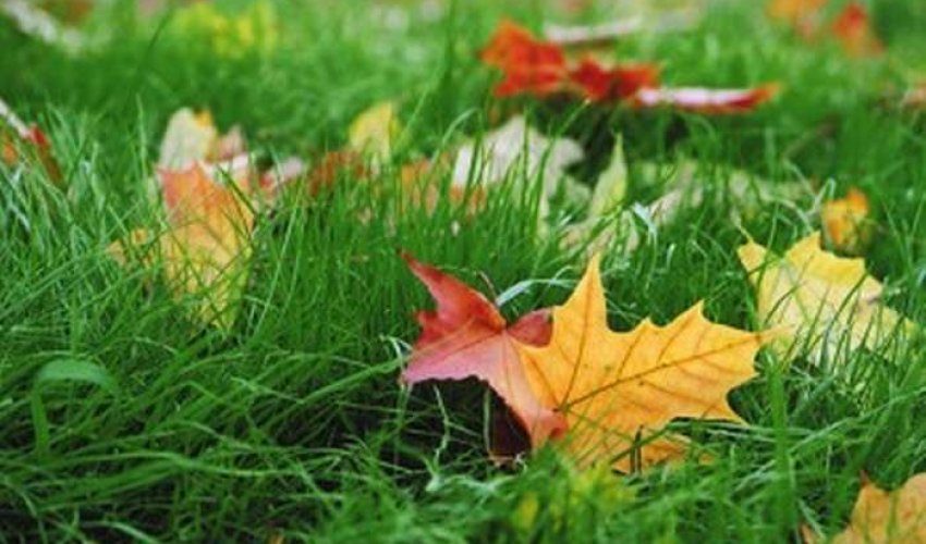 Baku weather forecast for Dec. 30