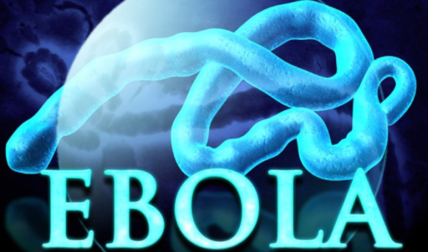 Russian scientists develop Ebola vaccine Russian scientists develop Ebola vaccine