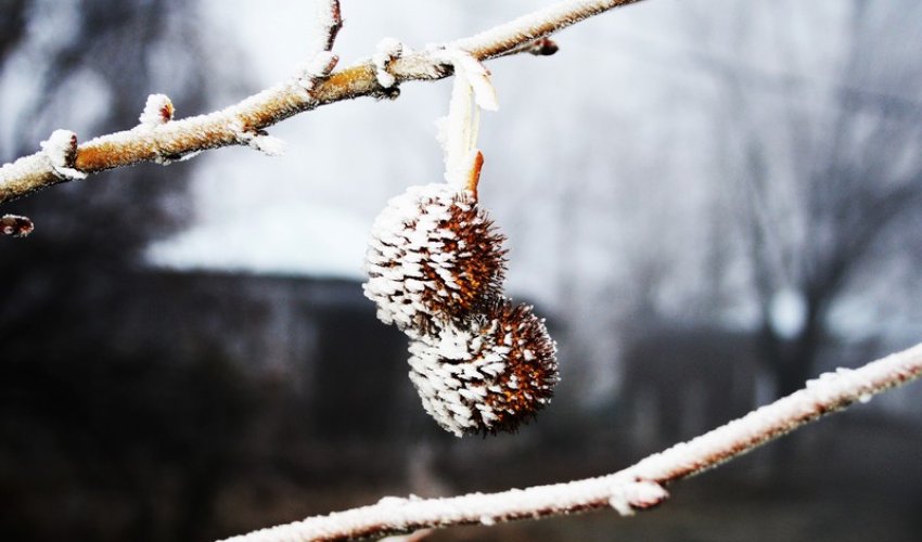 Views of winter in Azerbaijan