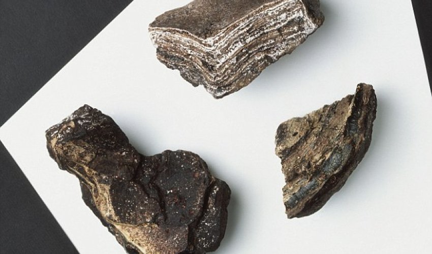 Whale vomit is an APHRODISIAC Whale vomit is an APHRODISIAC