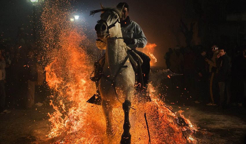 Horses ride through bonfires to celebrate patron saint of animals Horses ride through bonfires to celebrate patron saint of animals