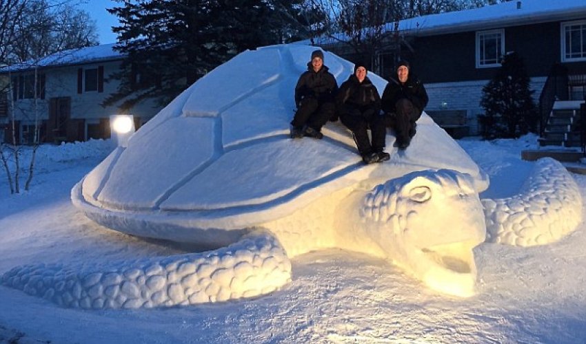 Brothers spend 300 HOURS building giant 12 foot turtle