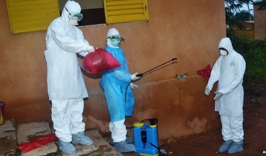 Ebola virus mutating, scientists warn Ebola virus mutating, scientists warn