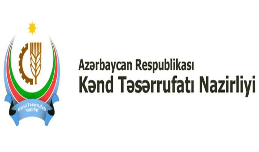 Azərbaycanda Belçika pendiri istehsal olunacaq