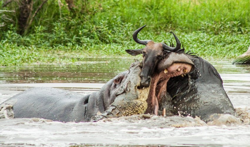 Think YOU'RE having a bad day?