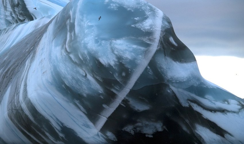The underworld of the Antarctic