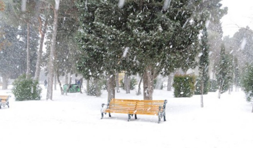 Baku weather forecast for Feb.21 Baku weather forecast for Feb.21