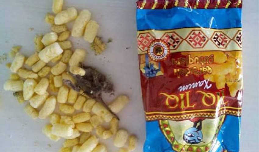 “Kukuruz”dan siçan çıxdı - FOTO “Kukuruz”dan siçan çıxdı - FOTO