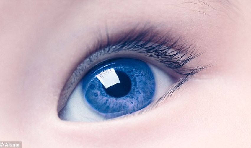 Could our ancestors see blue? Could our ancestors see blue?