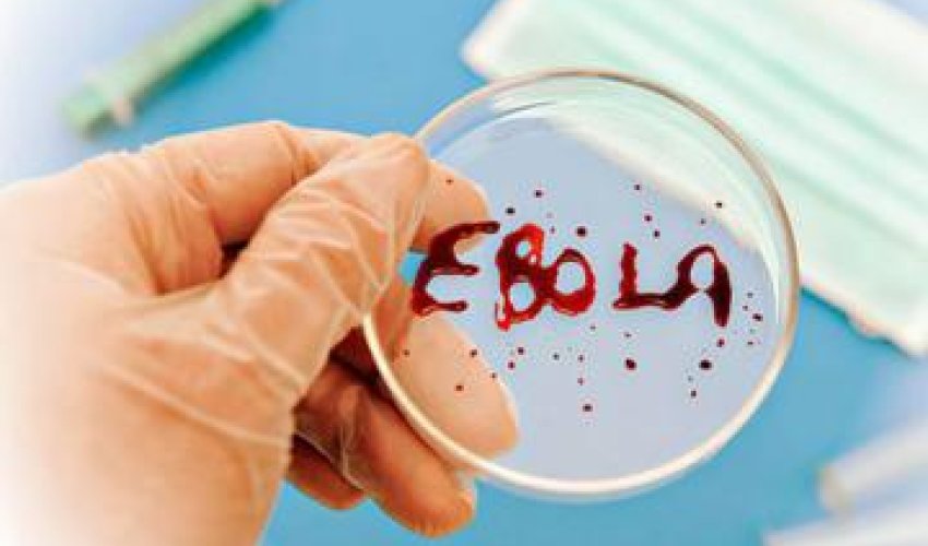 Azerbaijan to allocate $1m to fight Ebola Azerbaijan to allocate $1m to fight Ebola