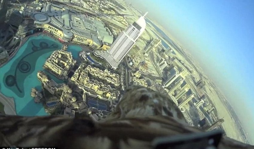 Talk about a bird’s eye view