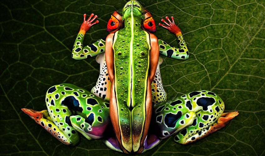 Artist's incredible body painting transforms five people into a tropical frog