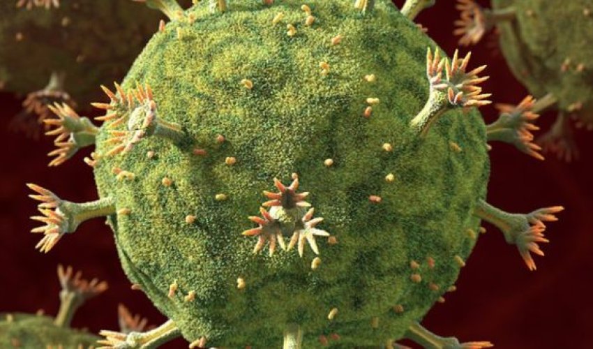 HIV: new approach against virus holds promise