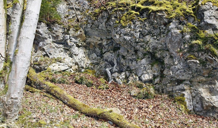 Can YOU spot the naked model camouflaged by trees and rocks