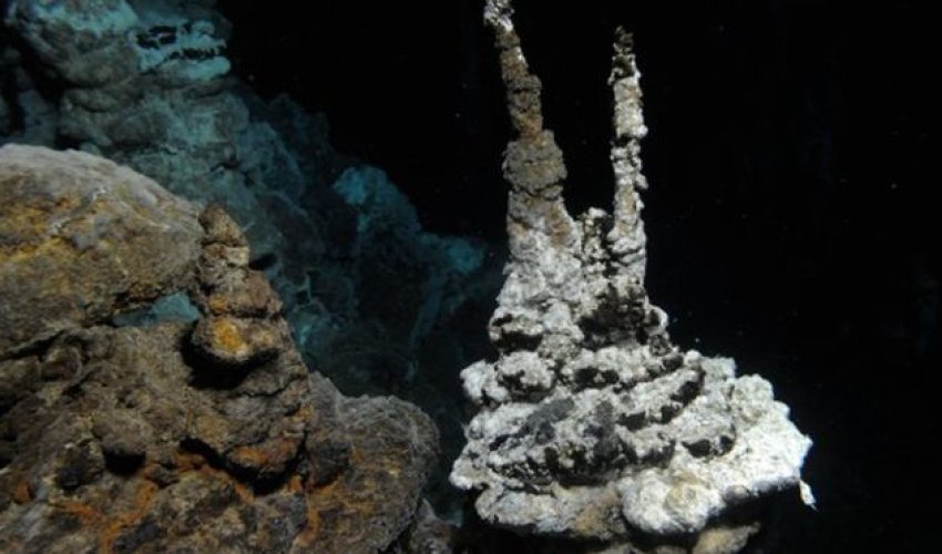 Newly found microbe is close relative of complex life