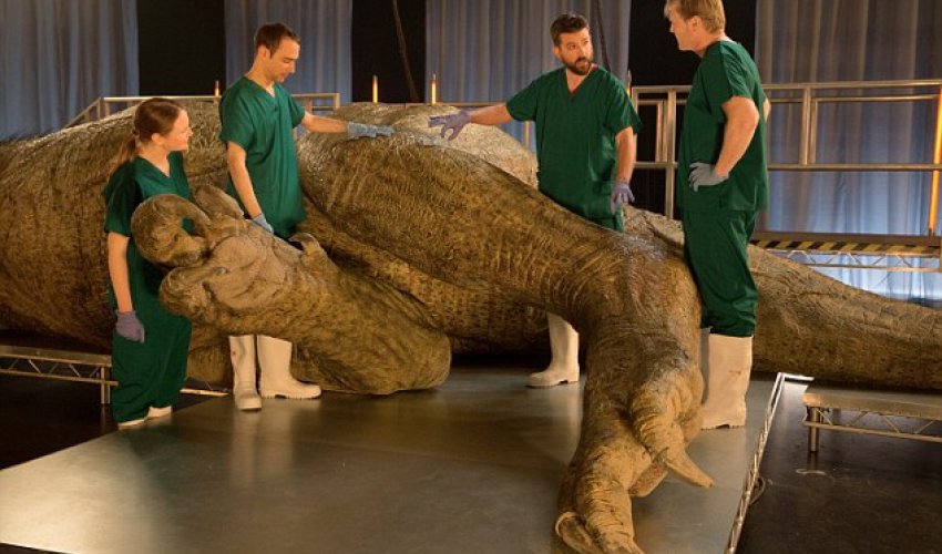 Scientists to carry out 'autopsy' on life-sized T-Rex replica to solve mysteries of huge predator Scientists to carry out 'autopsy' on life-sized T-Rex replica to solve mysteries of huge predator