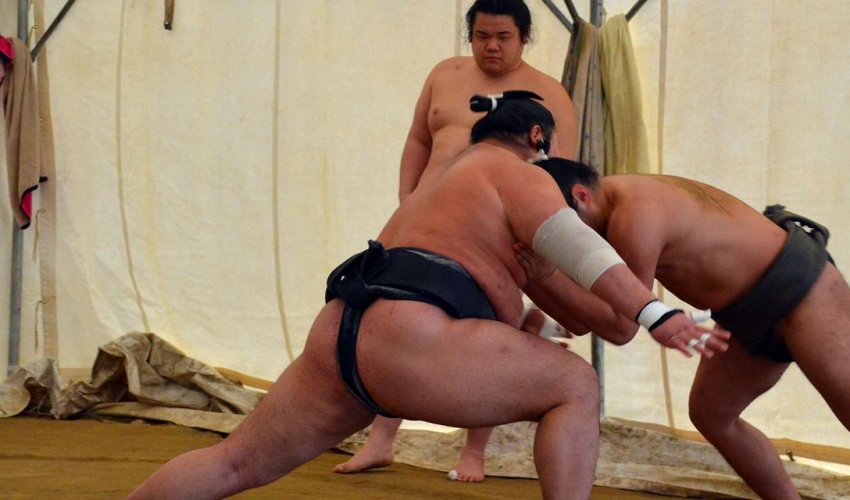 The life of a sumo wrestler