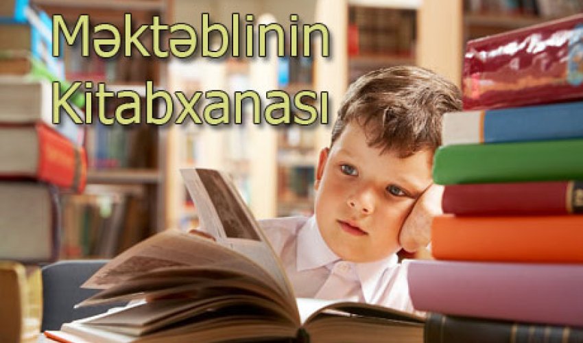 Məktəblinin kitabxanası: Məhəmməd Füzuli. “Leyli və Məcnun” poeması