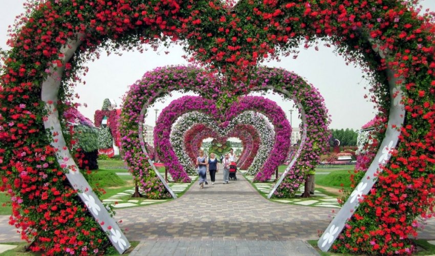Səhra çiçəyi: Möcüzələr Bağı - FOTOLAR Səhra çiçəyi: Möcüzələr Bağı - FOTOLAR