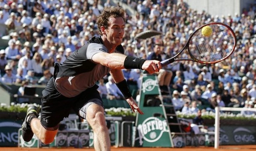 Andy Murray beats David Ferrer to reach French Open semi-finals