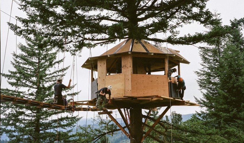 Treehouse has its own skatepark, a wood-fired tub and was built for $170,000 Treehouse has its own skatepark, a wood-fired tub and was built for $170,000