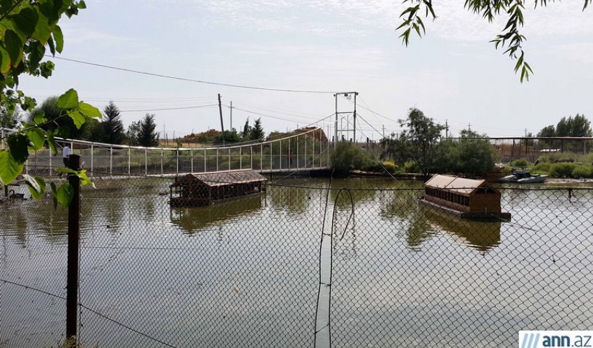 Bakı-Qazax şossesində mini-zoopark – REPORTAJ Bakı-Qazax şossesində mini-zoopark – REPORTAJ