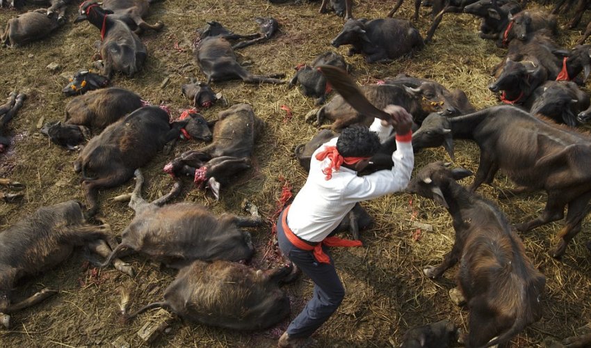 The death of Nepal's killing fields The death of Nepal's killing fields