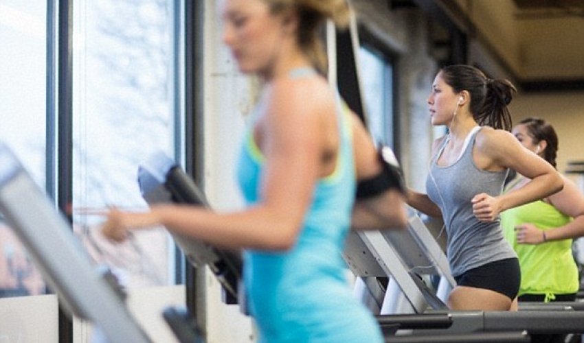 Cardio vs weight training?