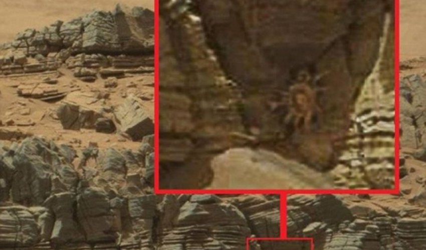 Crab-like 'alien facehugger' in a cave is spotted on Mars Crab-like 'alien facehugger' in a cave is spotted on Mars