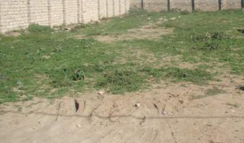 Dövlət Komitəsi reyd keçirib: 65608 manat cərimə qərarı verilib