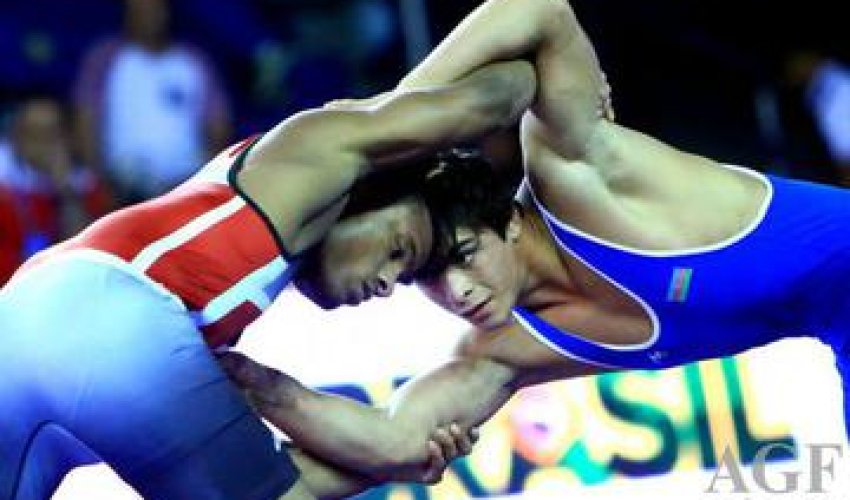 Azerbaijani wrestlers claim four gold medals