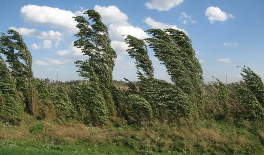 Baku weather forecast for August 21