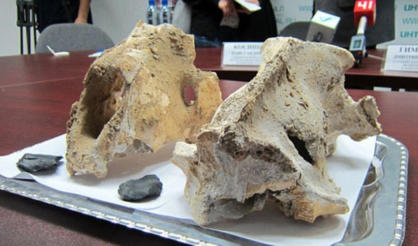 Sacred cave where GIANT LIONS were sacrificed 60,000 years ago discovered in Russia