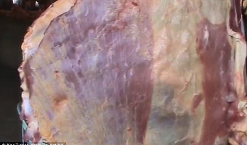 Video shows giant slab of meat PULSATE