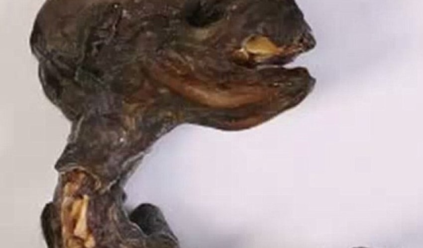 Has an alien corpse been found in Russia?