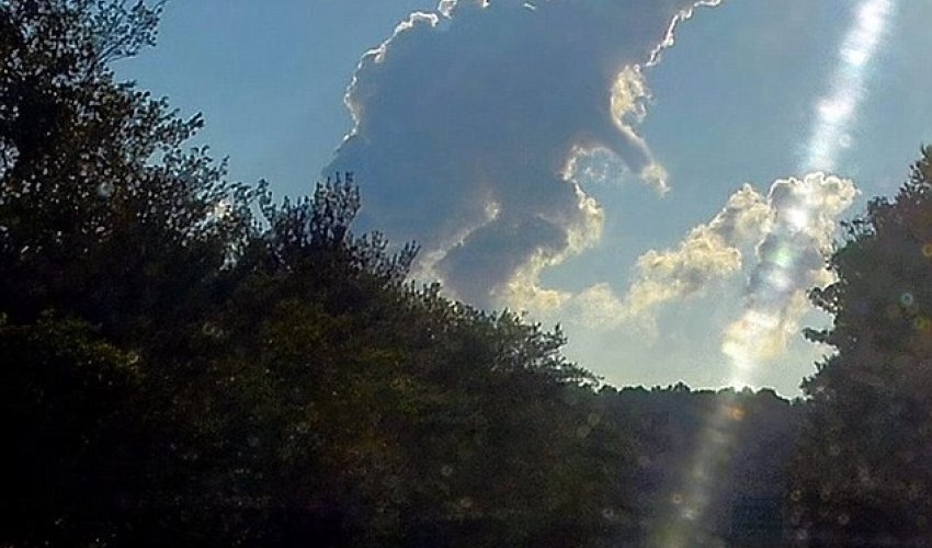 Watch out, it's Cloudzilla! Watch out, it's Cloudzilla!
