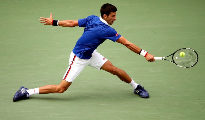 Novak Djokovic Is No. 1, Like It or Not